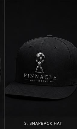 Pinnacle Aesthetic Snapback Hat